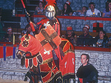 Medieval Times knights