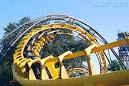 Python - Busch Gardens